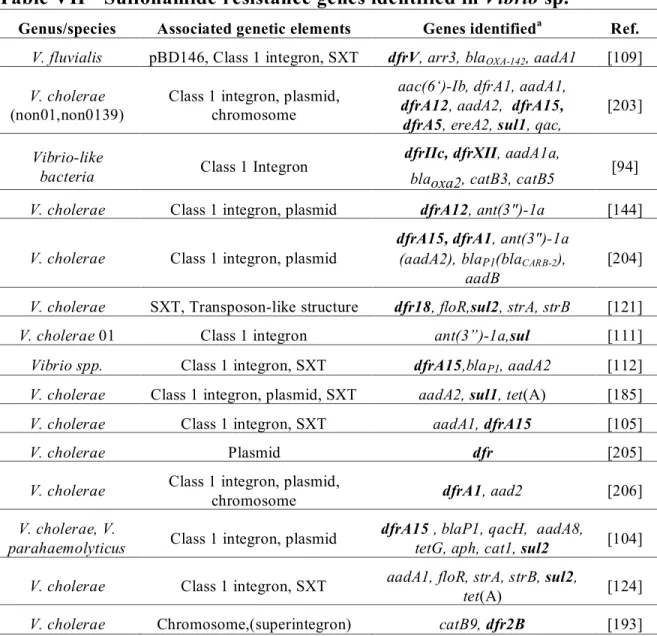 Table VII  Sulfonamide resistance genes identified in Vibrio sp.  