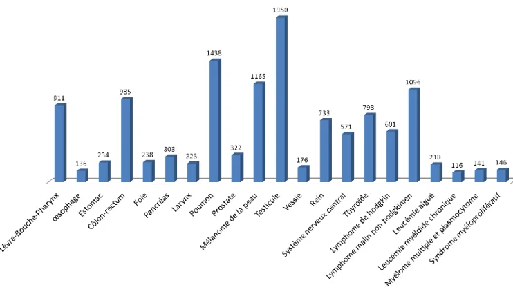 Figure 1 : Incidence des différents types de cancer en 2012 en France chez les hommes âgés  de 15 à 49 ans