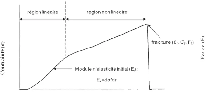 Figure  4 :  Représe ntation  d' une  courbe  de  traction  typique  de  la  partie  di stale  de  Mytilus  edulis, 