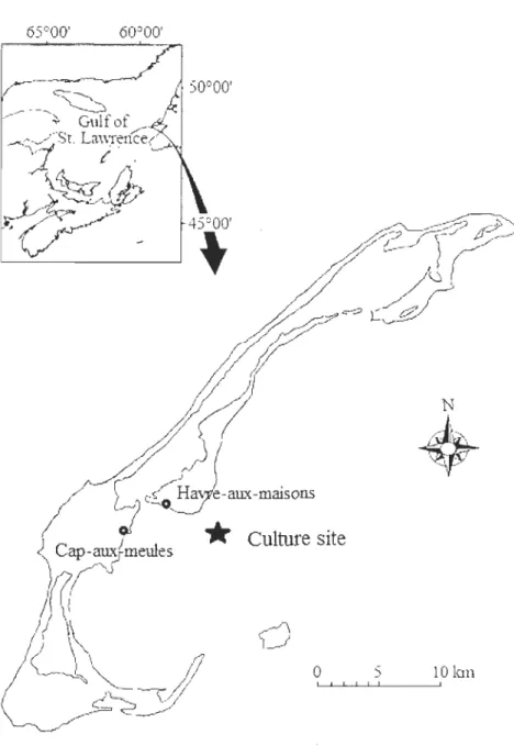 Figure 2.  Localisation of the cultured site near Baie de Plaisance, Magdalen Islands