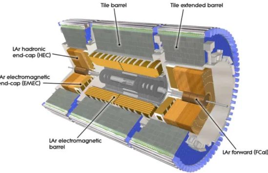 Fig. 1.3.2. The ATLAS calorimeter. It is composed of an inner layer for electromagnetic showers, the LAr barrel, which uses liquid argon (LAr) as active material and lead as  ab-sorber