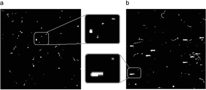 Fig. 2.2.2. Example of frames recorded by a MPX2 detector exposed to 241 Am, 106 Ru, 137 Cs and 10 MeV protons at 0 °(left) and 85 °(right) [60]