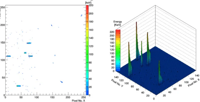 Fig. 2.2.4. Example of frame recorded with a TPX detector exposed to 241 Am, 106 Ru, 137 Cs and 10 MeV protons at 75° [65, 66]