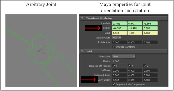 Figure 3.8 An arbitrary joint shown on the left and its rotation and orientation properties in Maya on the right.