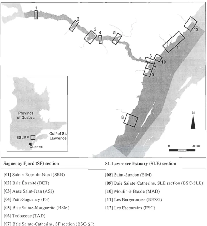 Figure  2, 1  Location  (in  dark)  of  study  area,  the  Saguenay  St.  Lawrence  Marine  Park  (SLLMP) and position of sampling sites 