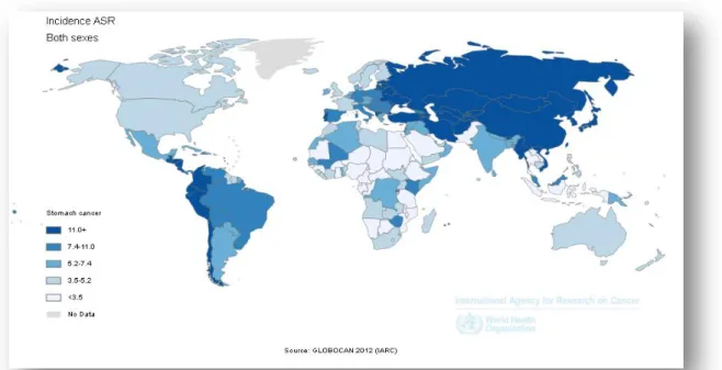Figure 5: Incidence du cancer gastrique mondiale standardisée sur l'âge 