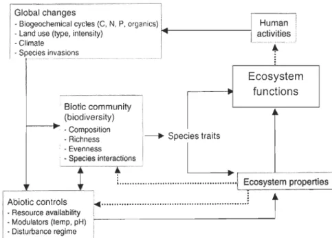 Fig.  1:  Pathways  and  interactions  of  different  factors  influencing  ecosystem functioning  (modified from Hooper et al