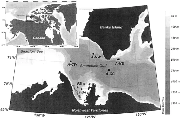 Fig.  1.1: Locations of sites sampled for  benthic processes during ice-covered (spring) and  o pen-water (summer) conditions in 2008