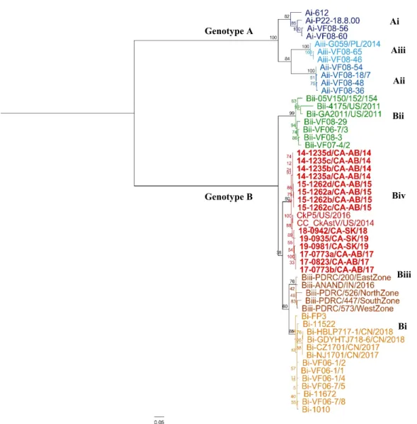 Figure 4.  Amino acid ML phylogenetic tree of 52 ORF2 CAstV sequences. Different colors indicate  different genotypes according to ORF2 analysis described by Smyth 2017 [5]