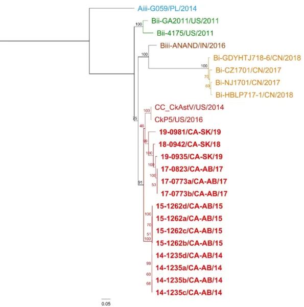 Figure 3.  Nucleotide ML phylogenetic tree of complete CAstV sequences. Different colors indicate  different genotypes according to ORF2 analysis described in Smyth et al