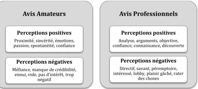 Figure 5. Perceptions positives et négatives de la critique amateur et professionnelle 