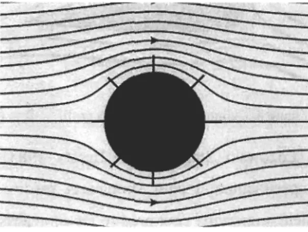 Figure 7. Les lignes de courant de l'écoulement potentiel autour d'un cylindre circulaire discrétisé  par des  panneaux