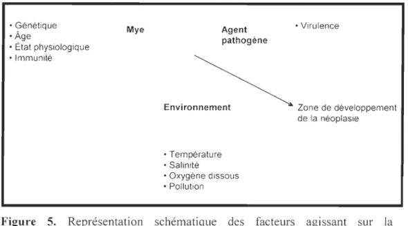 Figure  5.  Représentation  schématique  des  facteurs  agissant  sur  la  développement de la néoplasie hémique 