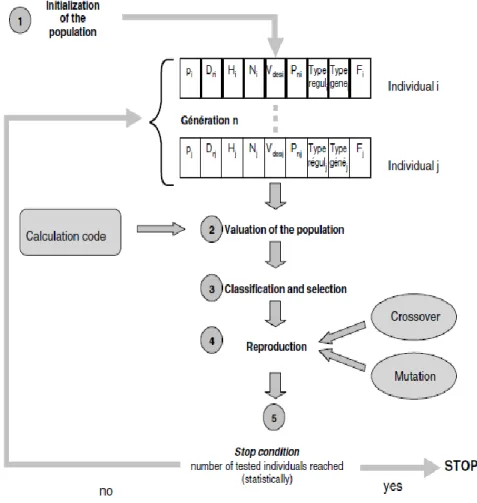Figure 11 : Optimization scheme using a genetic algorithm (source (T Diveux et al.,  2001))