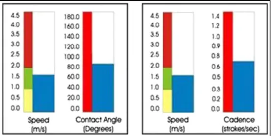 Figure 1.8 Exemple d'affichage dans l'étude de Rice et al. (2013).  