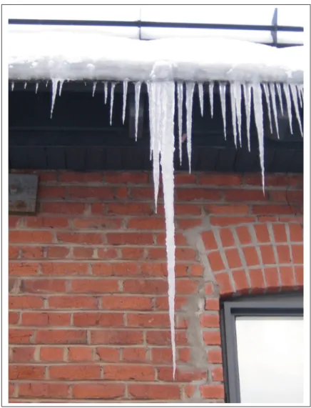 Figure 3.7 Photographie de stalactites rectilignes.