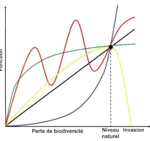 Figure  1 :  Représentation  graphique  des  5  hypothèses  expliquant  la  relation  entre  la  biodiversité  et  le  fonctionnement  de  l' écosystème (tirée  de  Naeem  et  al