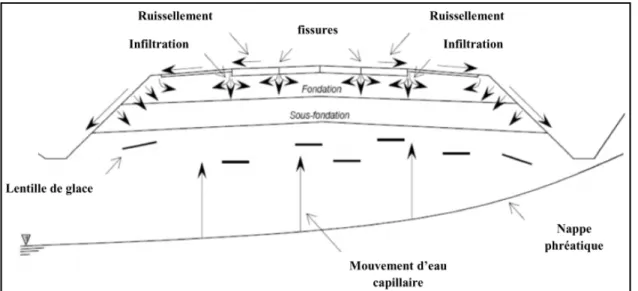 Figure 1.8 Modes d'infiltration des eaux dans la chaussée  Tirée de Thiam (2014) 