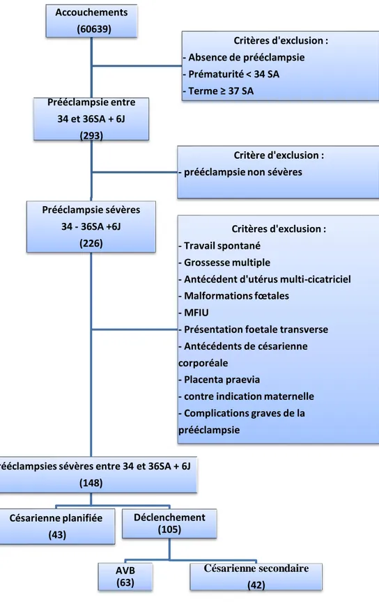 Figure 1 : Flowchart de la voie d'accouchement des patientes qui présentaient une prééclampsie sévère entre  34 SA et 36 SA + 6J entre le 1 er  janvier 2006 et le 31 décembre 2017 au CHUGA et entre le 1 er  janvier 2009  et le 31 décembre 2017 au CHANGE