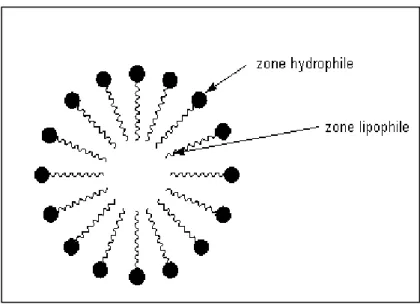 Figure 1.8 Orientation des tensioactifs dans le cas d'une  émulsion huile dans l'eau 