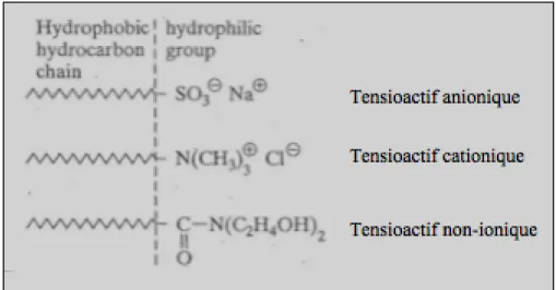 Figure 1.9 Les différentes familles de tensioactifs  Tiré de Young et al. (1998, p. 72) 