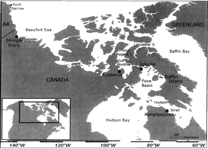Figure 1.  Bowhead whale stomach content sampling locations  in the Canadian Arctic and  communities where subsistence hunts occurred