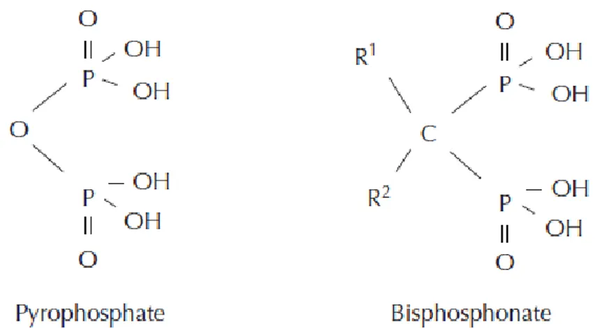 Figure 12 : Structure générale des bisphosphonates (58) 