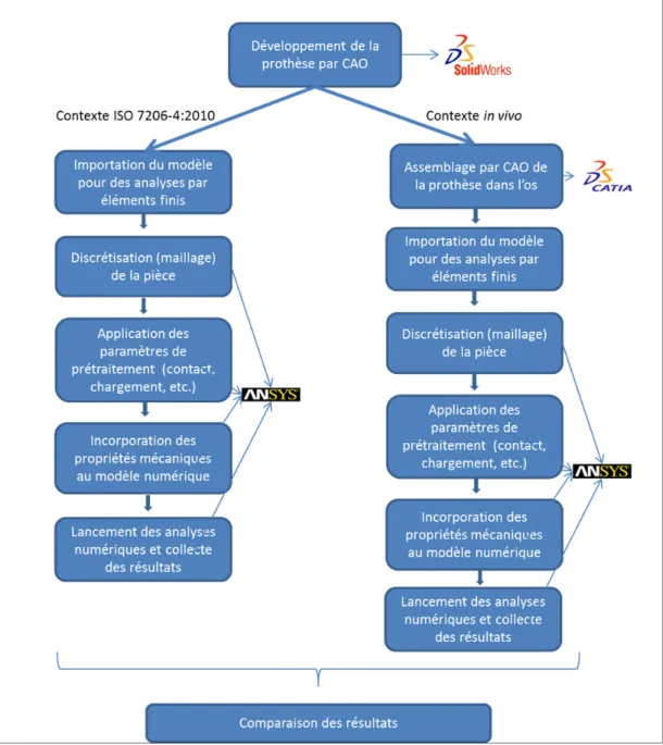 Figure 2.1 Diagramme du processus présentant l'évolution du projet en prenant compte des  logiciels utilisés et de l’ordre chronologique de l’étude (Partie A)