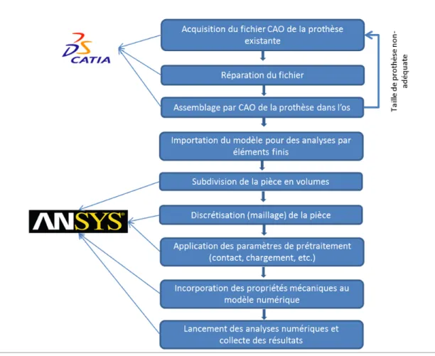 Figure 2.2 Diagramme du processus présentant l'évolution du projet en prenant compte des  logiciels utilisés et de l’ordre chronologique de l’étude (Partie B)