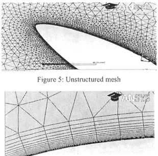 Figure 5:  Unstmctured mesh 