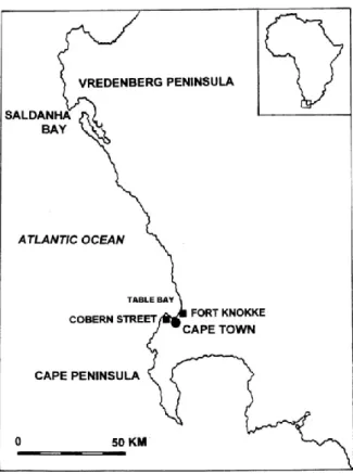 Figure 3.1 Carte du Cap occidental identifiant le  site de Cobern Street (adaptée de Cox 1999)