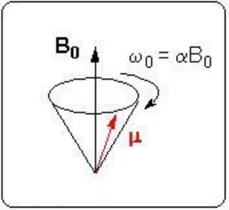 Figure  1.  Mouvement  de  précession  du  moment  magnétique  de  spin  autour  d'un  champ  magnétique (19)