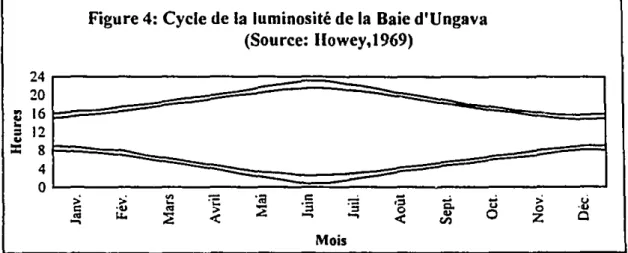 Figure 4: Cycle de la luminosité de la Baie d'Ungava (Source: lIowey,1969) • • 24 20~ 16e&#34;12=..840 '&#34; '&#34;c.....&#34;&#34;'