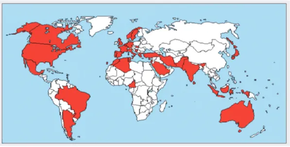 Figure 7 : Répartition mondiale des sujets atteints par la MSMD indiquée par les  pays en rouge sur la carte du monde