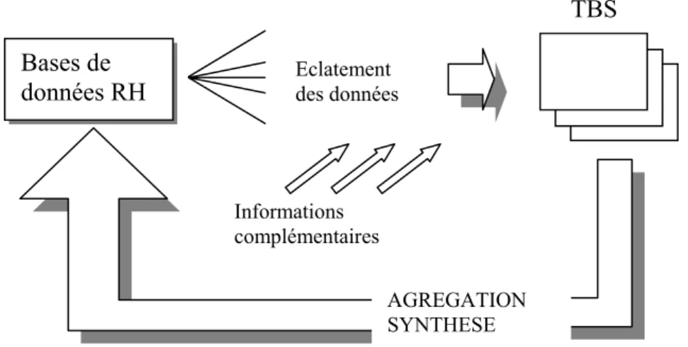 Figure 6 : La boucle de l’information sociale 