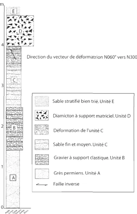 Figure 3. 10  Coupe stratigraphique de  la Coupe 3. Anse-aux-Canards, Po inte-aux-Lo ups 