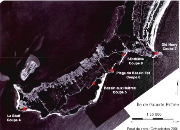 figure 3.14).  Les  lits  présentent  des  structures  de  rides  de  courant  avec  de  très  faibles  pendages  (1 0  à  2 0  vers  le  sud)