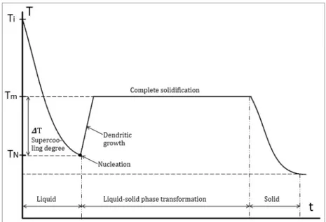 Figure III-1: Dendrite growing into a supercooled  melt of pure succinonitrile [103].