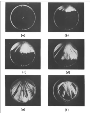 Figure III-3 : Photos qui montrent l’évolution de la croissance dendritique dans une conduite d’eau (Gilpin, R.R., 1976)