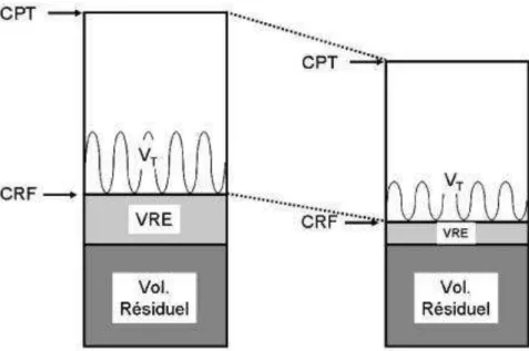 Figure 9 : Altérations des volumes pulmonaires associées à l’obésité, CPT : capacité pulmonaire totale ; CRF : capacité  résiduelle fonctionnelle ; VRE : volume de réserve expiratoire ; VR : volume résiduel ; VT : volume courant