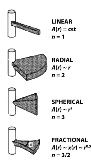 Figure 1.7 : Interprétation de la dimension d’écoulement en termes de géométrie de  flux selon Doe, (1991), modifié de Doe (1991)