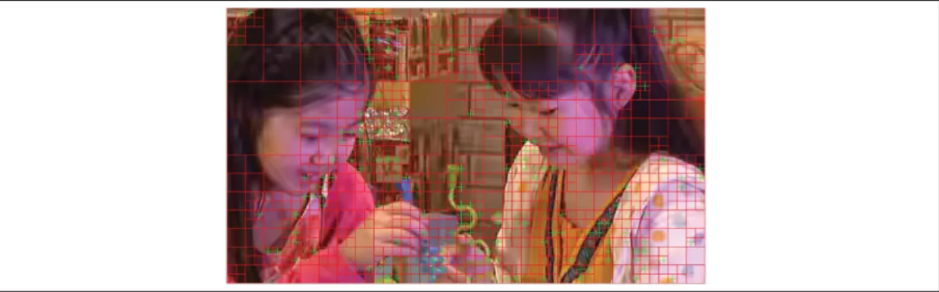 Figure 2.3 Frame splitting into CUs (red) and PUs (green) based on the quadtree structure, BlowingBubbles.