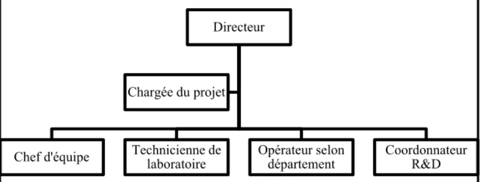 Figure 3.1: Organigramme proposé pour le comité qualité  Le rôle de ce comité s’articule en différents volets : 