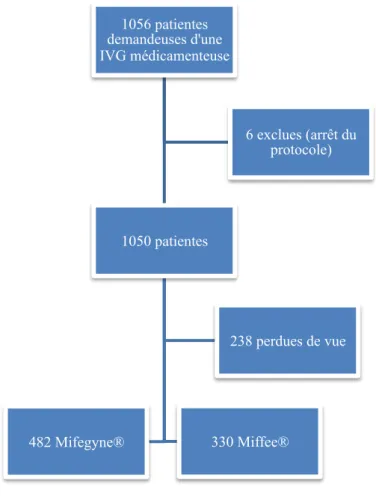 Figure 1 : Organigramme des patientes 