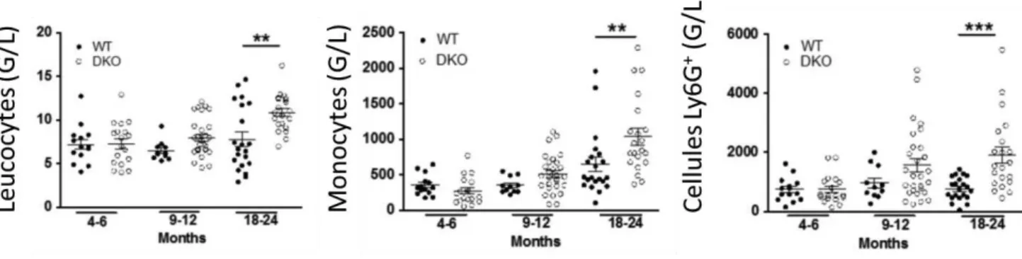 Figure  5.  Les  cellules  myéloïdes  Ly6G +   des  souris  dok1,  dok2  -/-   ont  une  activité  immunosuppressive