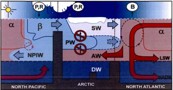 Fig.  2.  Schéma  de  l'océanographie  physique  des  océans  Arctique,  Pacifique  Nord  et  Atlantique  Nord,  caractérisant  les  océans  alpha  (a)  et  beta  (B)