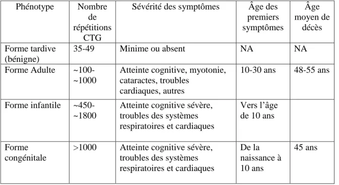 Tableau 1. Corrélation entre les types de phénotypes et nombre de répétitions CTG dans la  DM1