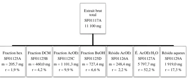 Figure 12. Schéma de fractionnement et rendements de séparation pour l’extraction liquide- liquide-liquide de l’extrait brut total (SF01117A)