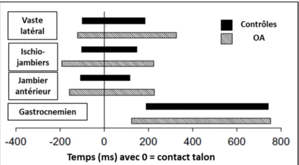 Figure 2.3 : Durées d’activation chez les sujets sains et les sujets arthrosiques  Adapté et traduit de (Childs et al., 2004) 