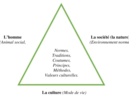Figure 1  : Triangle sur l’homme – culture – société. 
